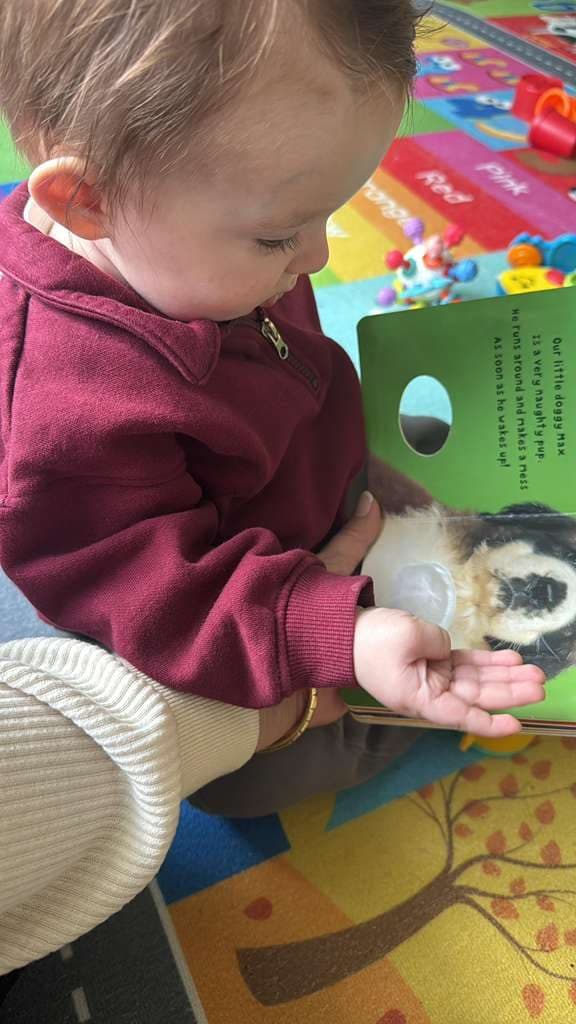 A toddler in a maroon sweater reaches for a touch-and-feel board book on the classroom rug.