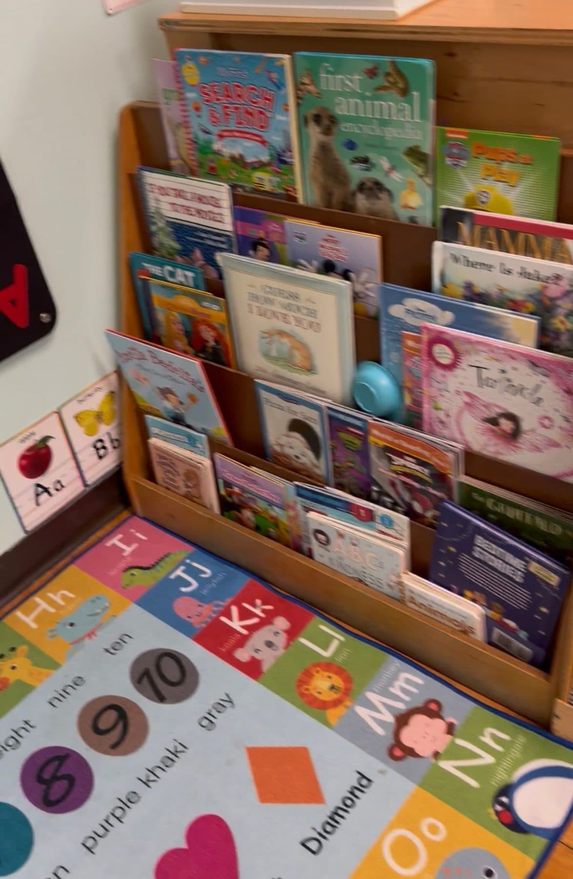 A wooden rack filled with picture books beside the alphabet rug in the reading corner.